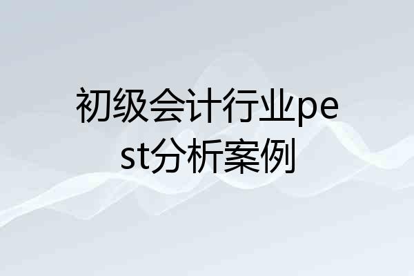 初级会计行业pest分析案例