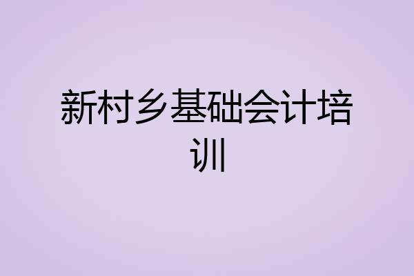 新村乡基础会计培训