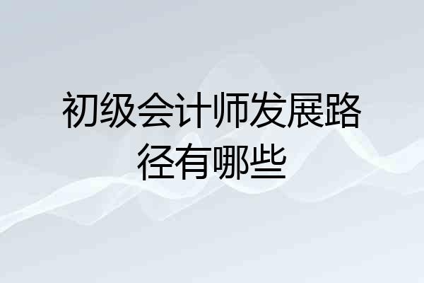 初级会计师发展路径有哪些