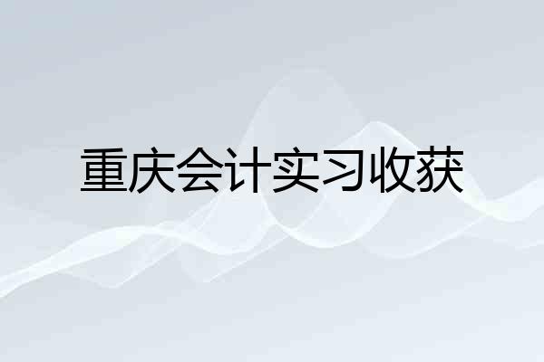 重庆会计实习收获