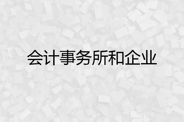 会计事务所和企业