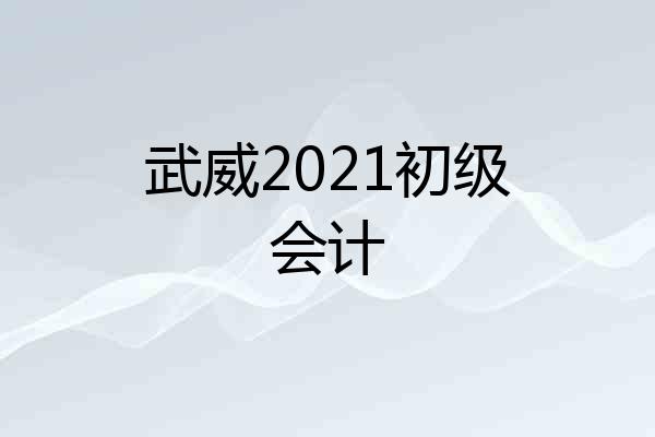 武威2021初级会计