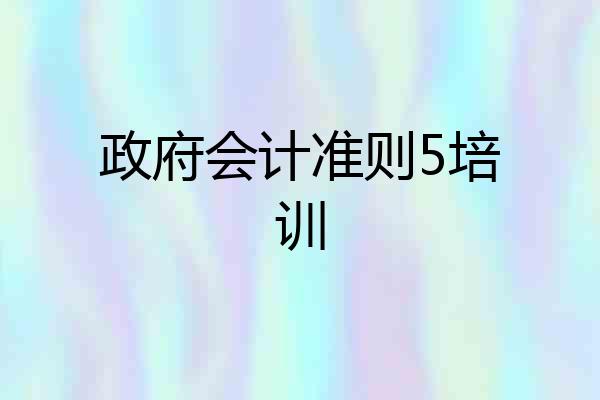 政府会计准则5培训
