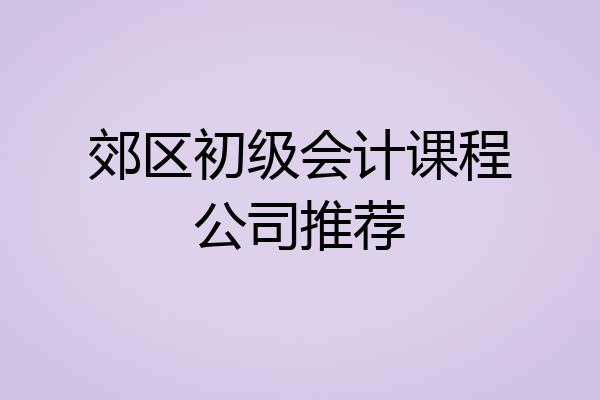 郊区初级会计课程公司推荐