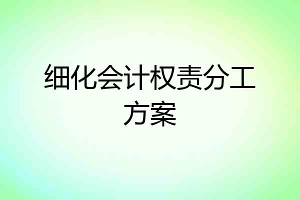 细化会计权责分工方案
