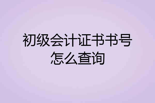 初级会计证书书号怎么查询