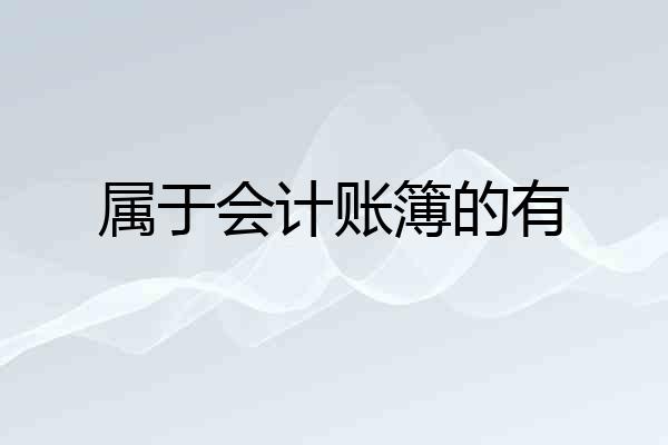 属于会计账簿的有