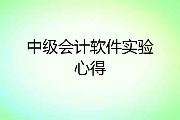中级会计软件实验心得