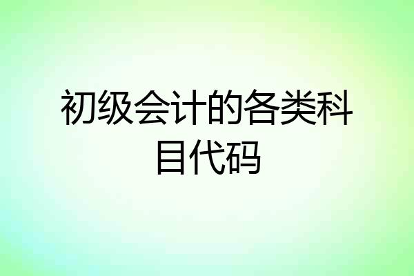 初级会计的各类科目代码