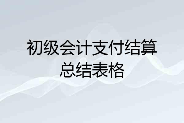 初级会计支付结算总结表格