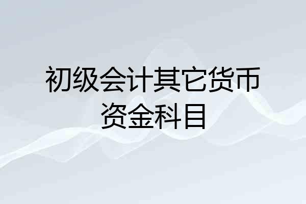初级会计其它货币资金科目