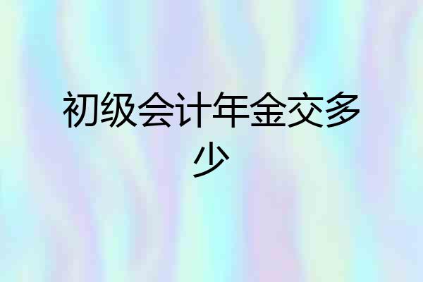 初级会计年金交多少