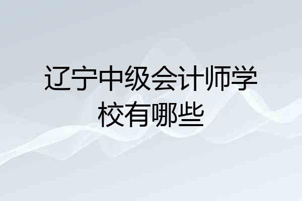 辽宁中级会计师学校有哪些