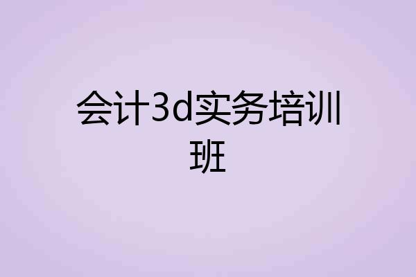 会计3d实务培训班