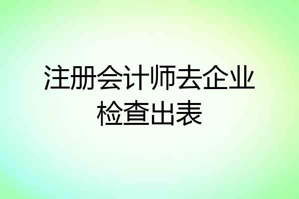 注册会计师去企业检查出表