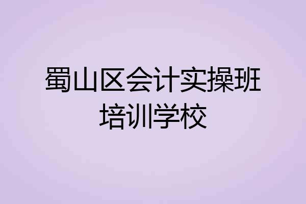 蜀山区会计实操班培训学校