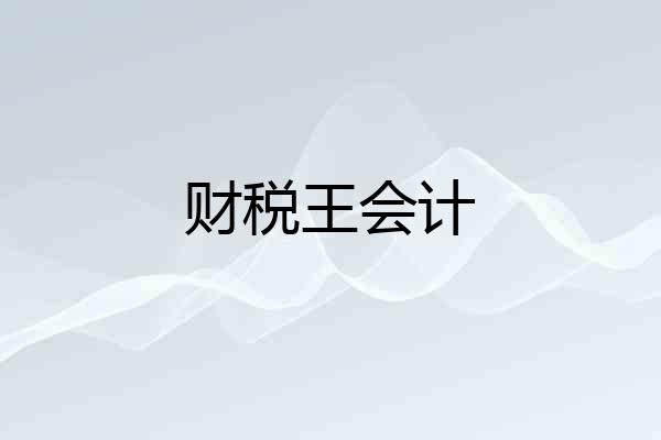 财税王会计