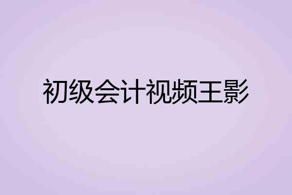 初级会计视频王影