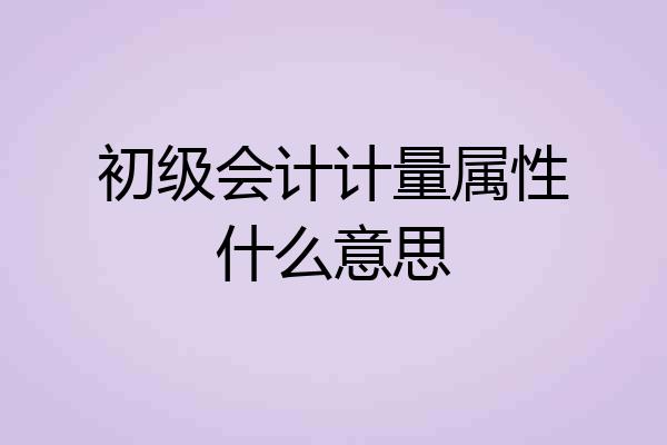 初级会计计量属性什么意思