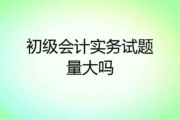 初级会计实务试题量大吗