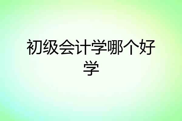 初级会计学哪个好学