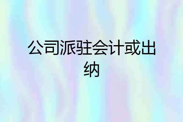 公司派驻会计或出纳