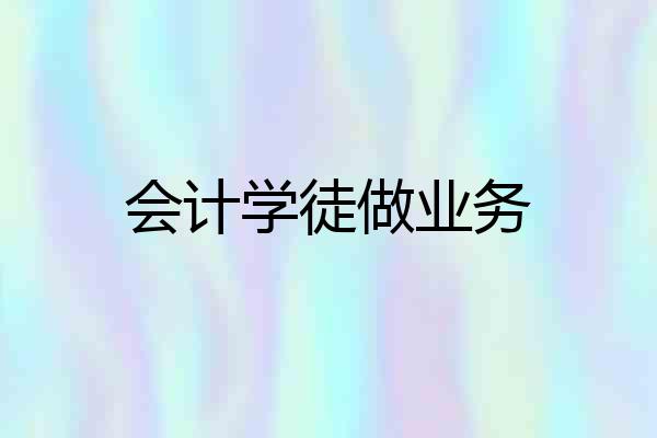 会计学徒做业务