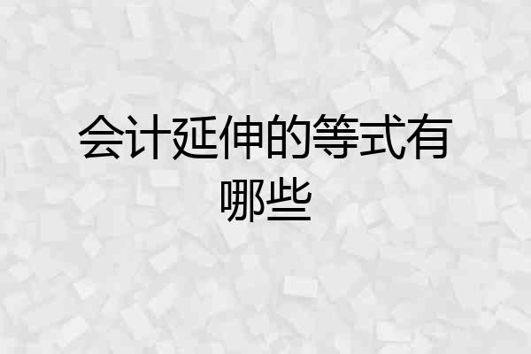 会计延伸的等式有哪些