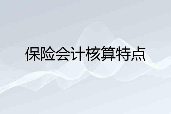 保险会计核算特点