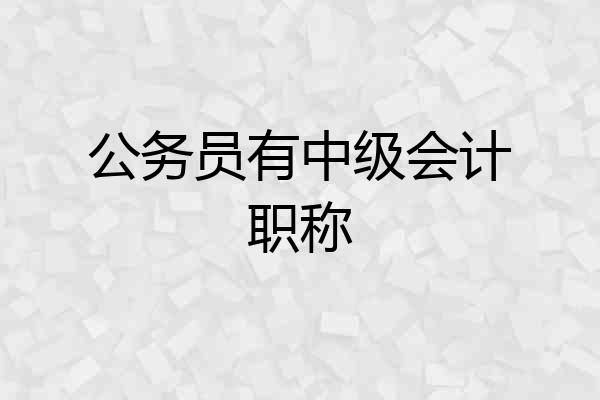 公务员有中级会计职称