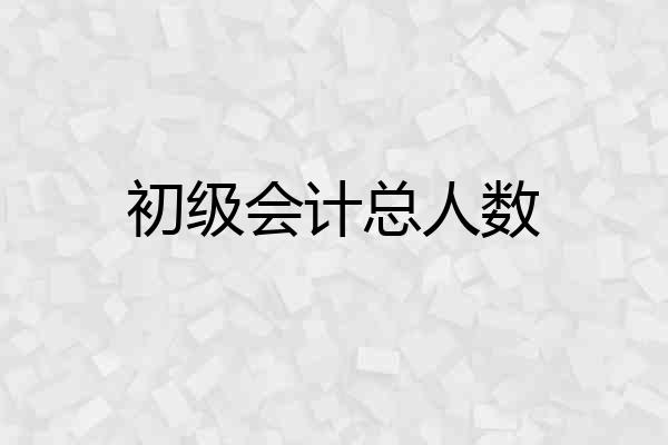 初级会计总人数