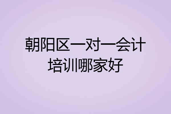 朝阳区一对一会计培训哪家好