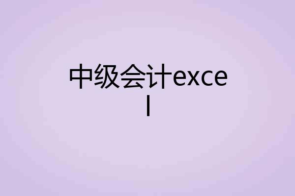 中级会计excel