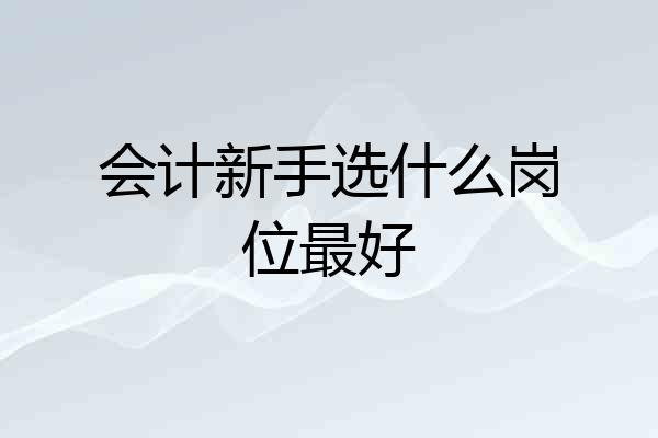 会计新手选什么岗位最好