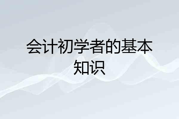会计初学者的基本知识
