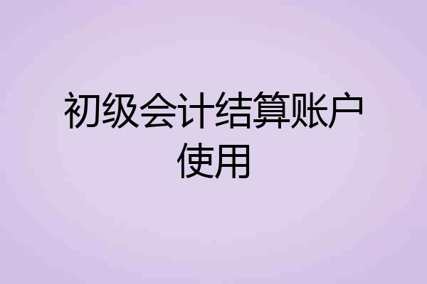 初级会计结算账户使用