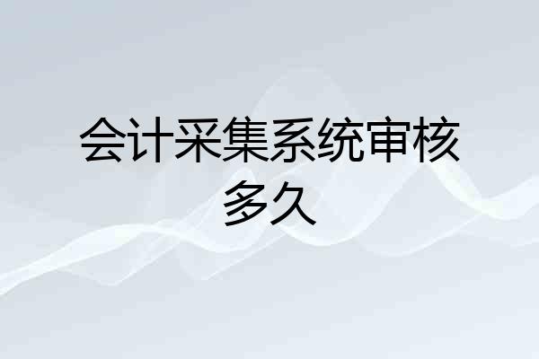 会计采集系统审核多久