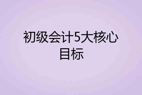 初级会计5大核心目标