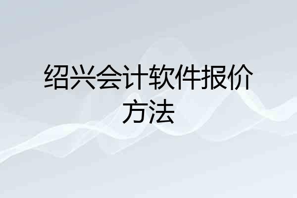 绍兴会计软件报价方法