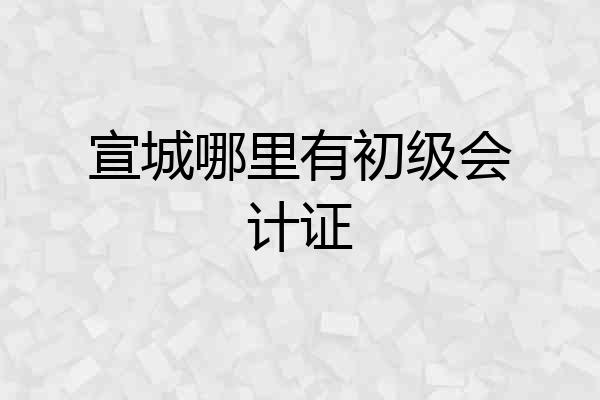 宣城哪里有初级会计证
