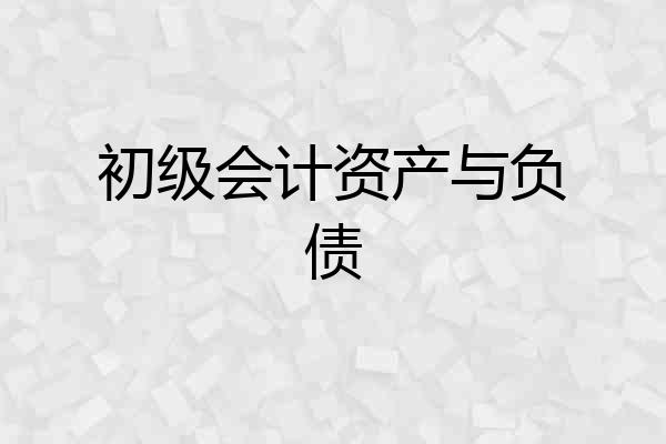 初级会计资产与负债