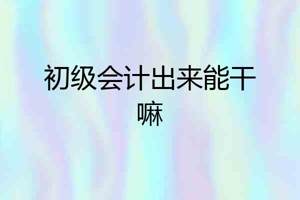 初级会计出来能干嘛
