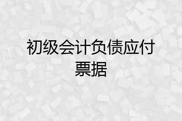 初级会计负债应付票据