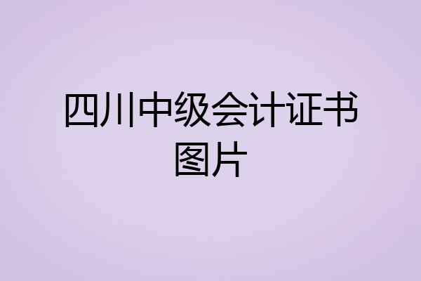 四川中级会计证书图片