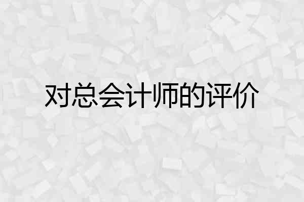 对总会计师的评价