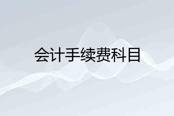会计手续费科目