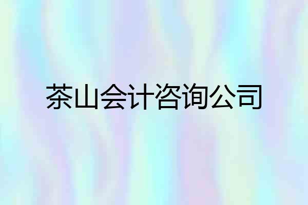 茶山会计咨询公司