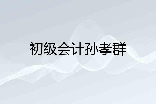 初级会计孙孝群