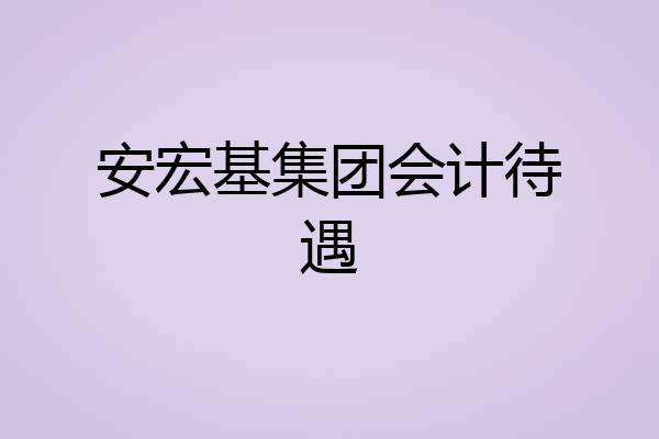 安宏基集团会计待遇