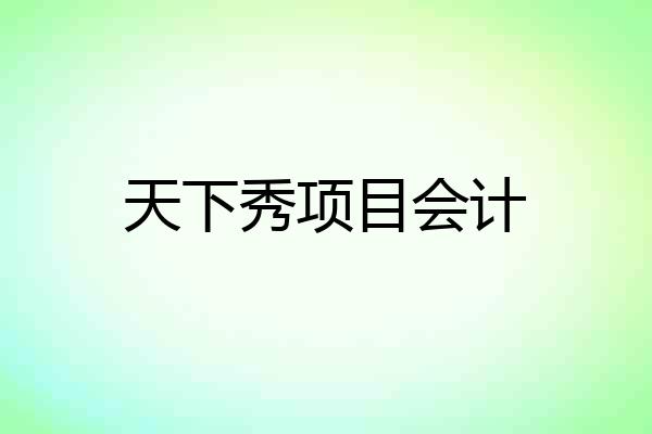 天下秀项目会计